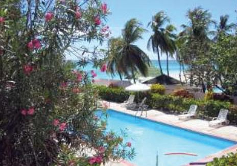 Butterfly Beach Hotel Outdoor Pool