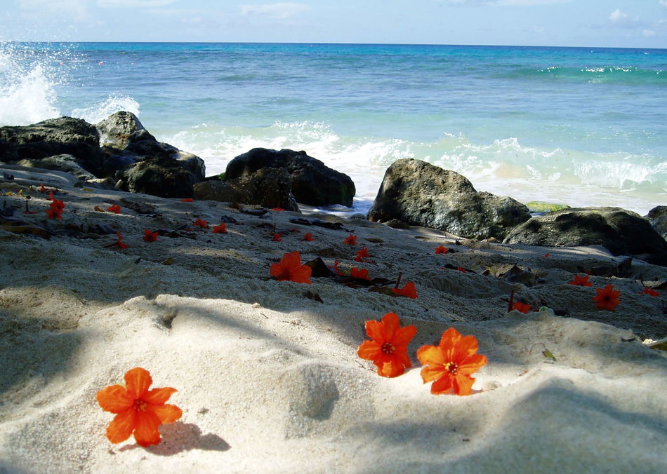 Divi Southwinds Beach Resort Beach