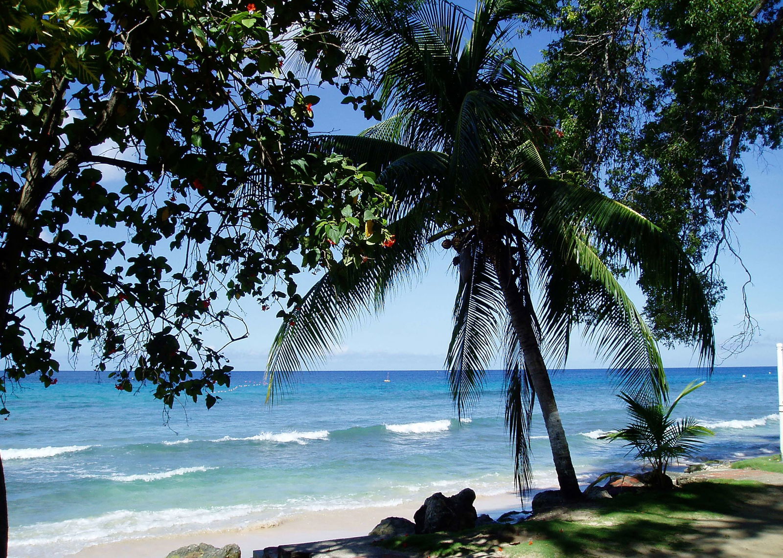 Divi Southwinds Beach Resort Beach