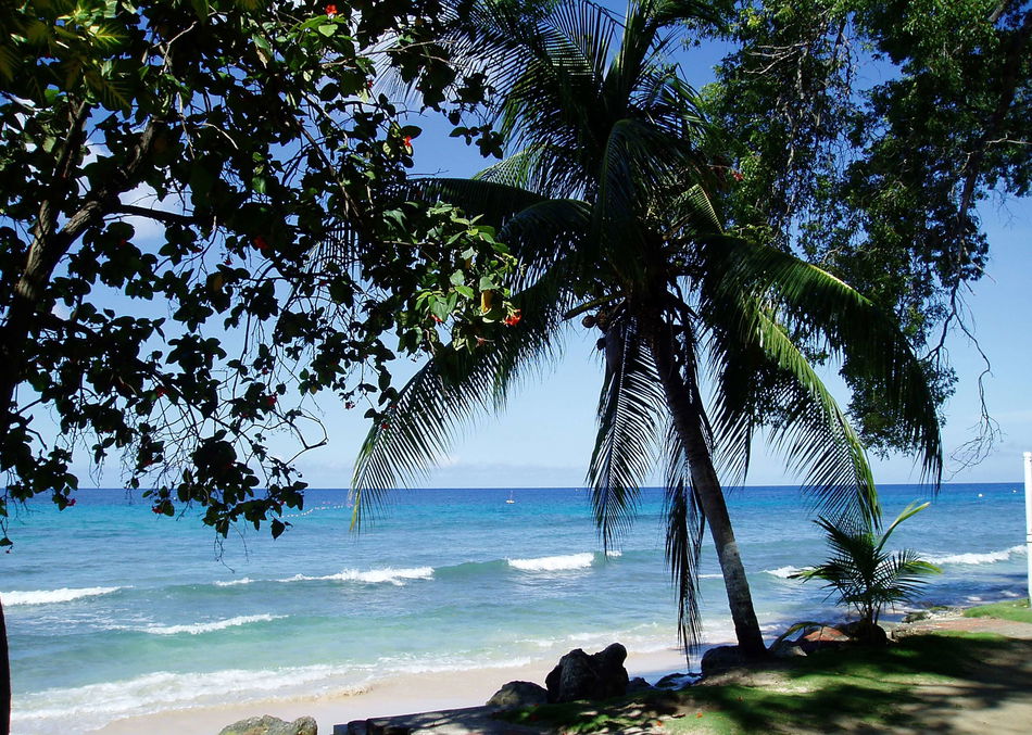Divi Southwinds Beach Resort Beach