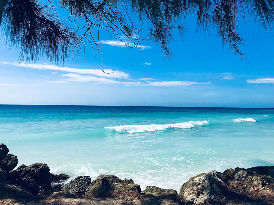 Divi Southwinds Beach Resort