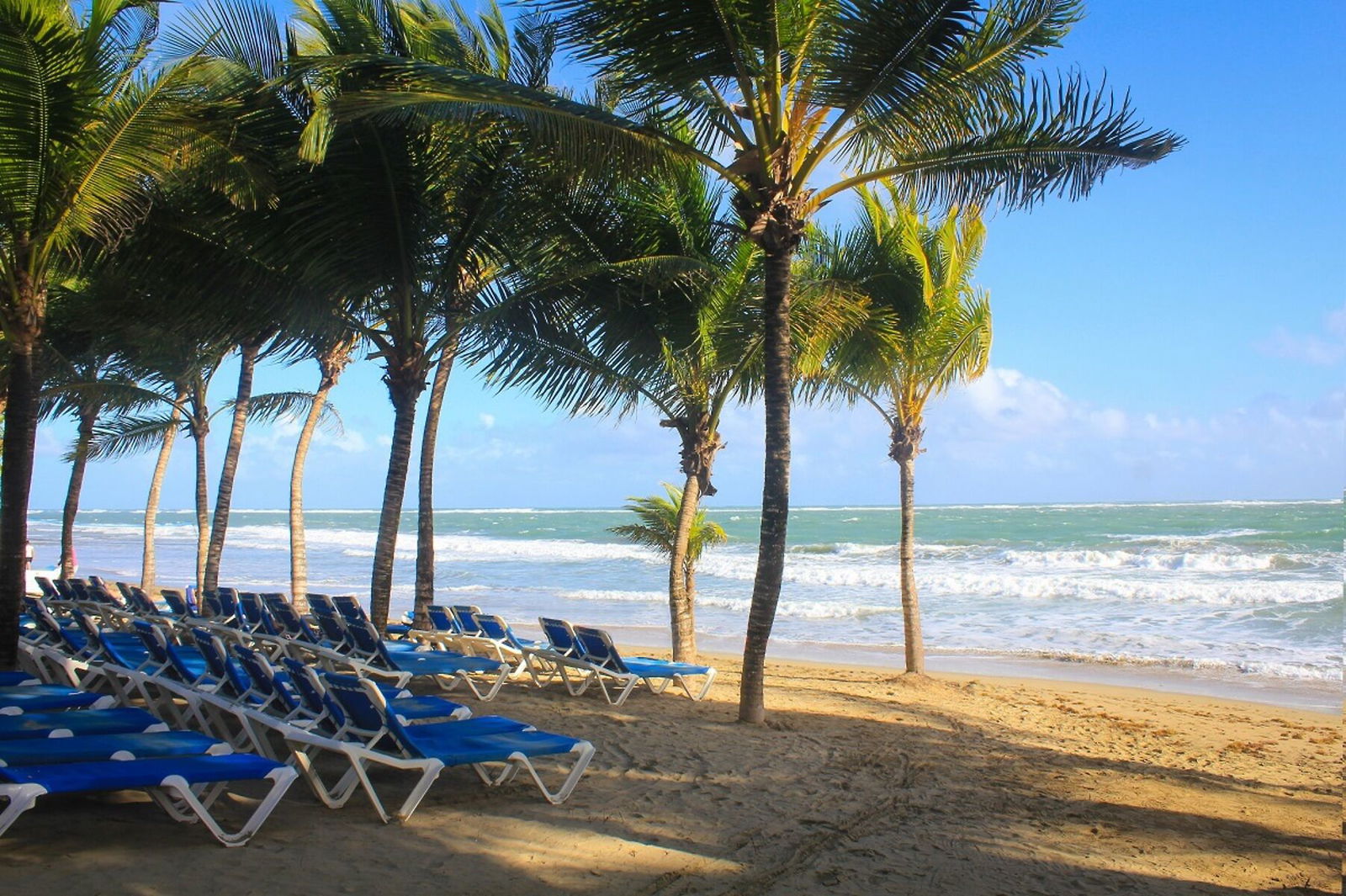 Viva Wyndham Tangerine - All-Inclusive Resort Beach
