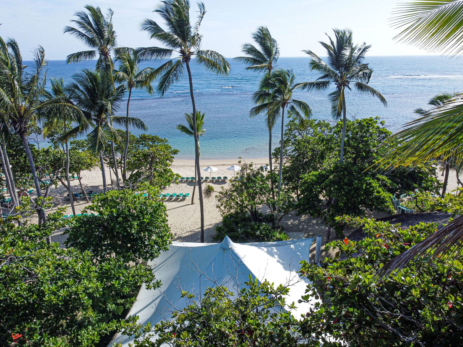 Gran Ventana Beach Resort Beach