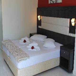 1975825-la-caretta.jpg
