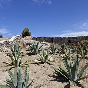 Sejur En Lefko Hotel vacanta Mykonos