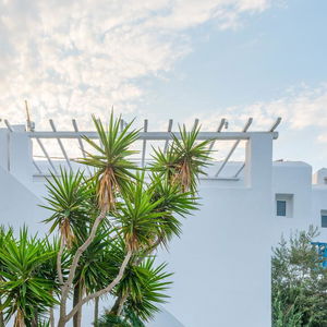 Sejur Vienoula'S Garden vacanta Mykonos