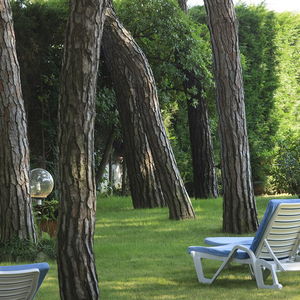 Hotel Hotel Gallia cazare Lido di Jesolo