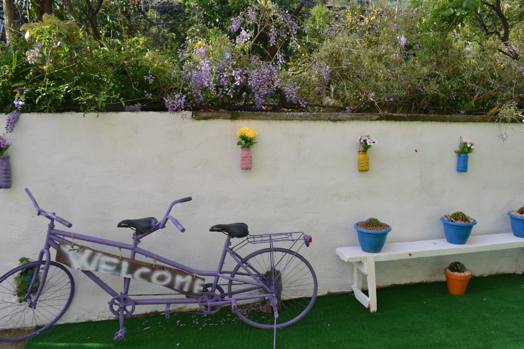 Hotel Sorrento Experience