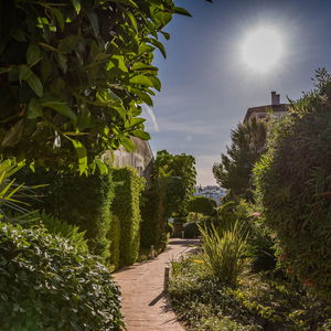 Sejur Cortijo Del Mar Resort And Apartamentos vacanta Estepona