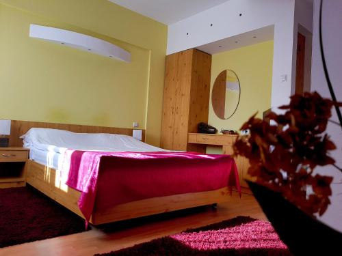 Hotel Pensiunea Marina