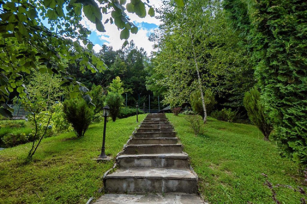 Hotel Tisa