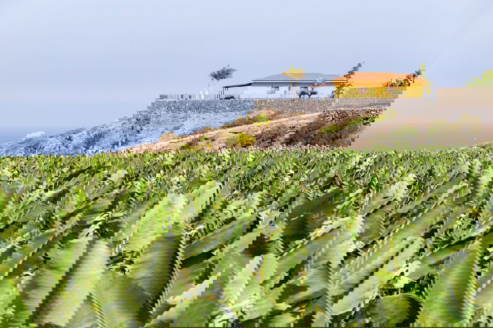 imageresource