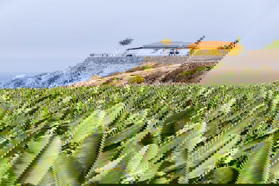 imageresource