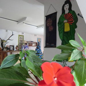 Hotel Casa Samurai cazare Brasov