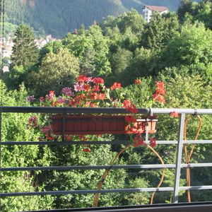 Hotel Pensiunea Warthe cazare Brasov