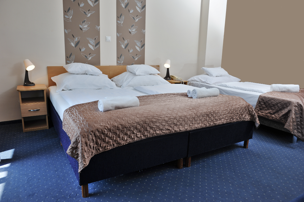 Hotel Papillon