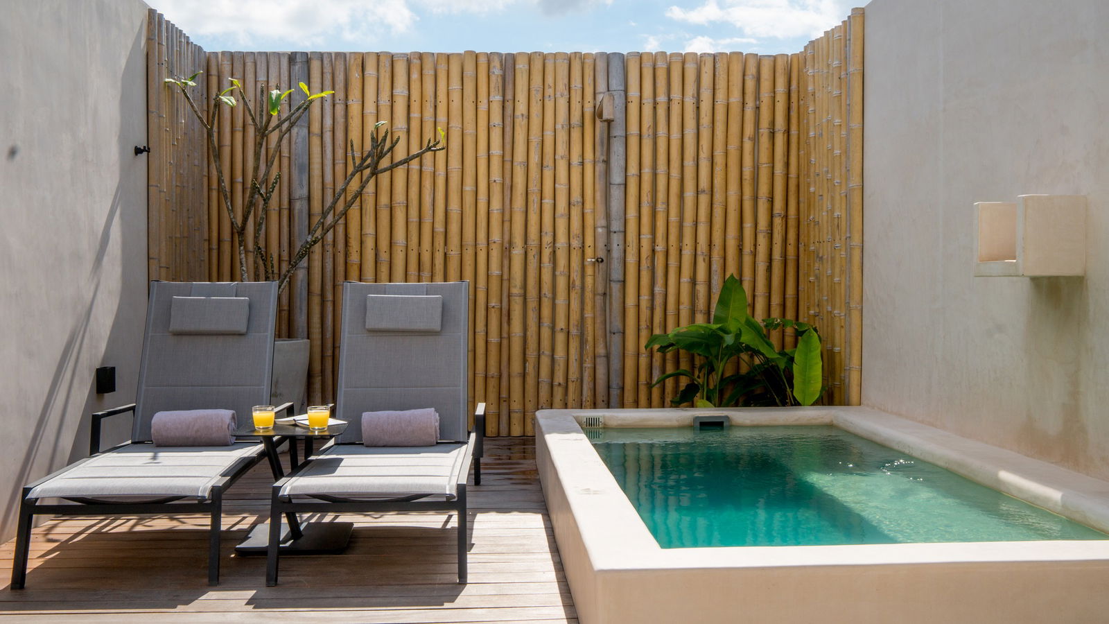 2534691-hive-cancun.jpg