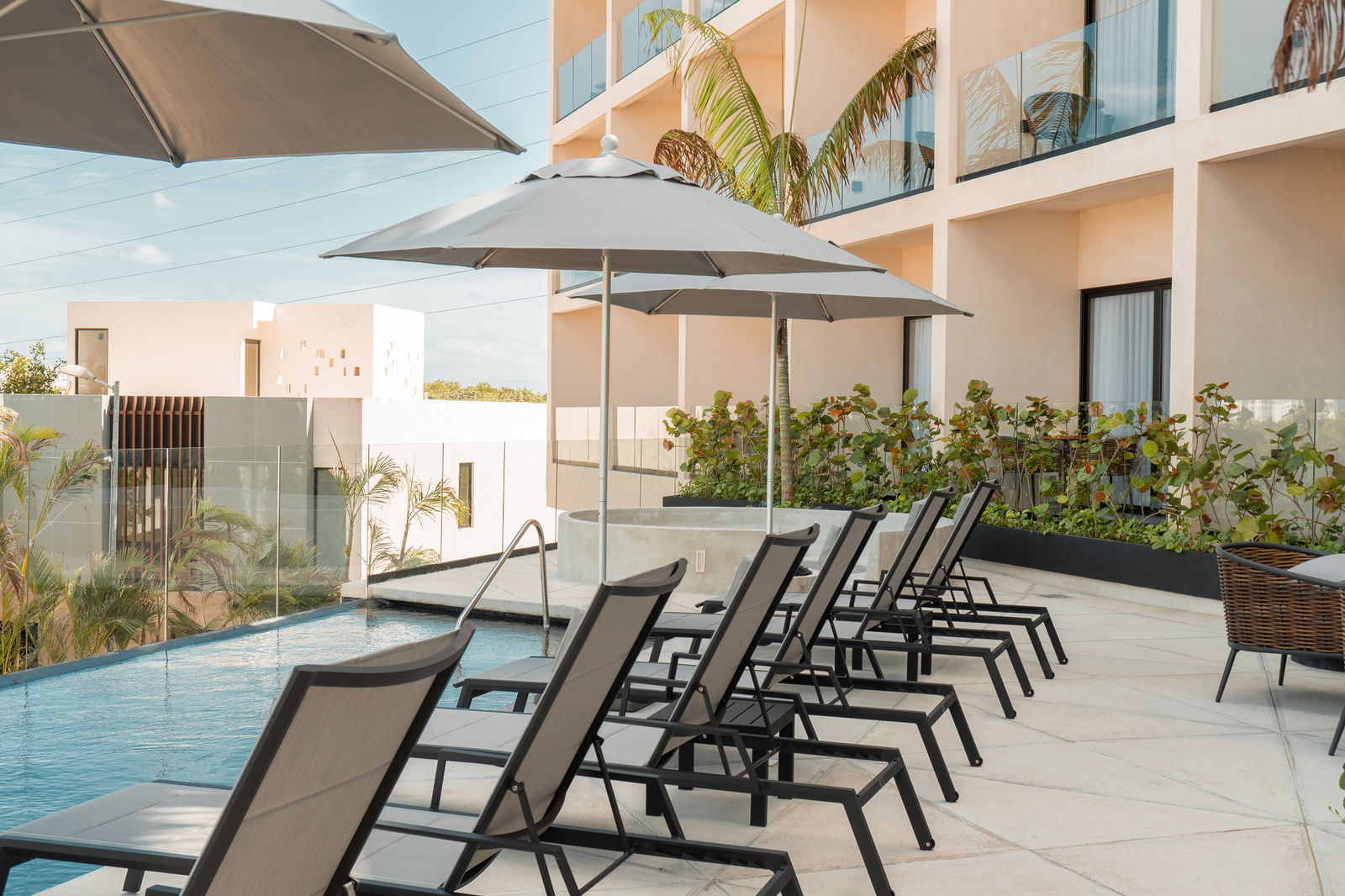 2534745-hive-cancun.jpg