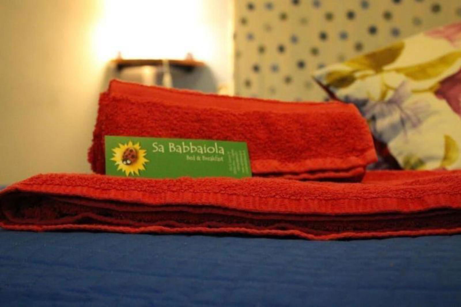 Hotel Sa Babbaiola Bandb