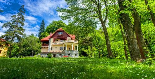 Hotel Pensiunea Boema