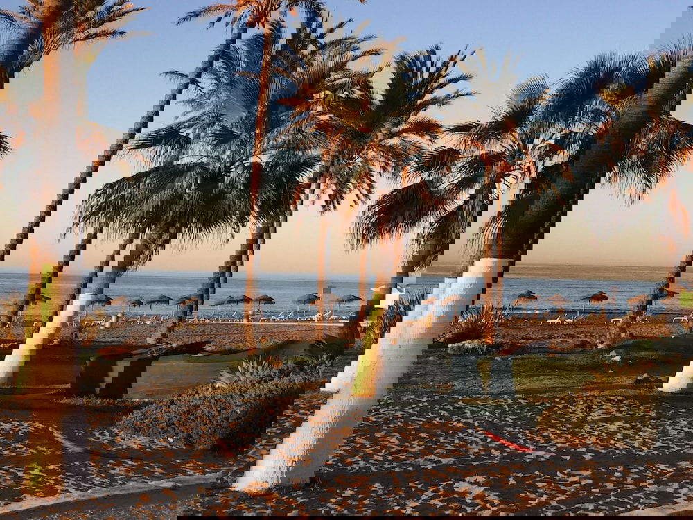 Hotel Skol Apartments Marbella