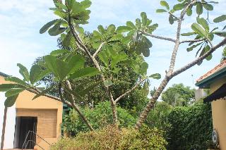 Hotel Villa Escondite