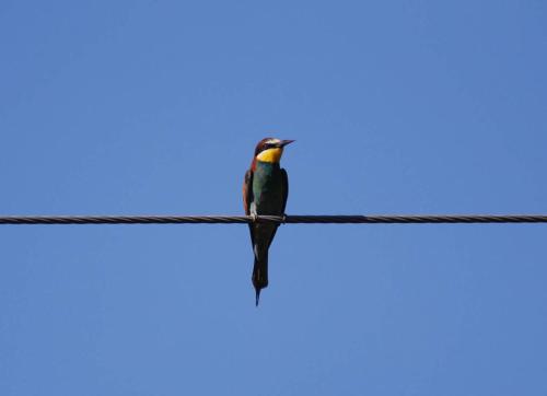 Hotel Alexandros Hotel