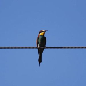 Hotel Alexandros Hotel cazare Riviera Olimpului