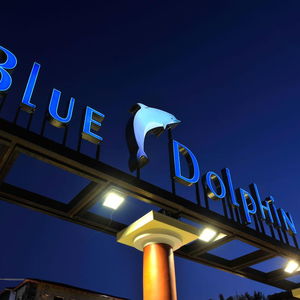 Hotel Blue Dolphin Hotel (Metamorfosi, Sithonia) cazare Halkidiki