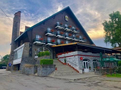 Hotel Vila Ursu Negru