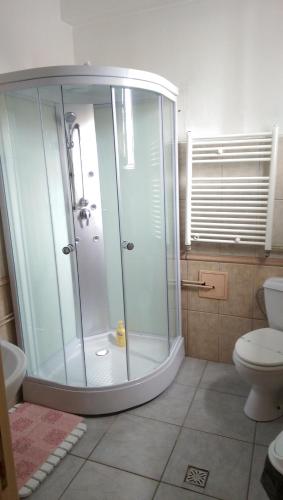 Hotel Pensiunea Vila Dana
