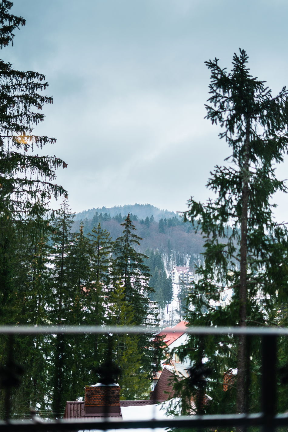 Hilltop