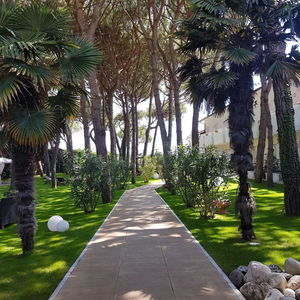 Hotel Hotel & Resort Gallia cazare Lido di Jesolo