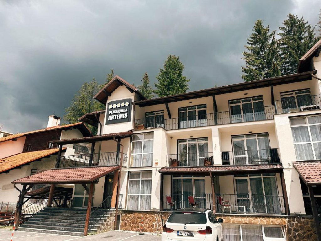 Hotel Pensiunea Artemis