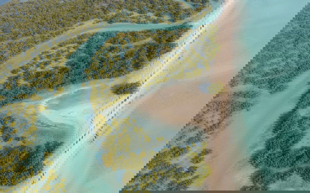 Hotel Anantara Sir Bani Yas Island Al Yamm Villa Resort