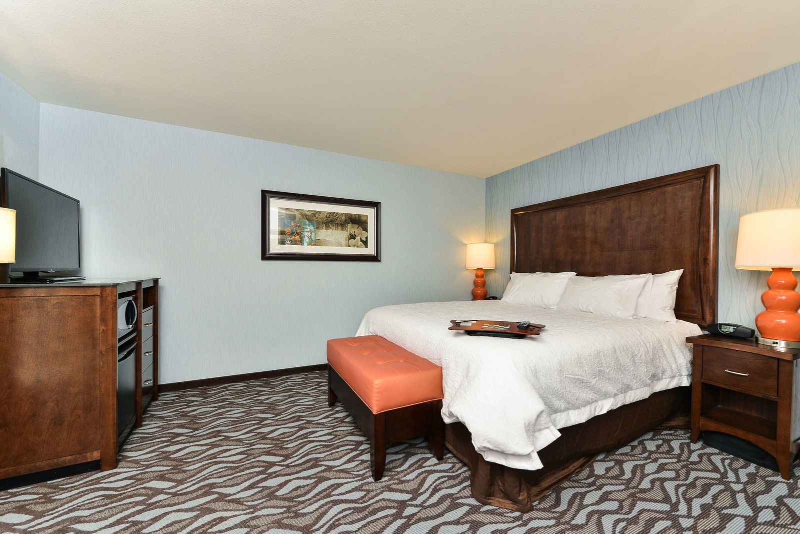 Hampton Inn Corning/Painted Post Room Example