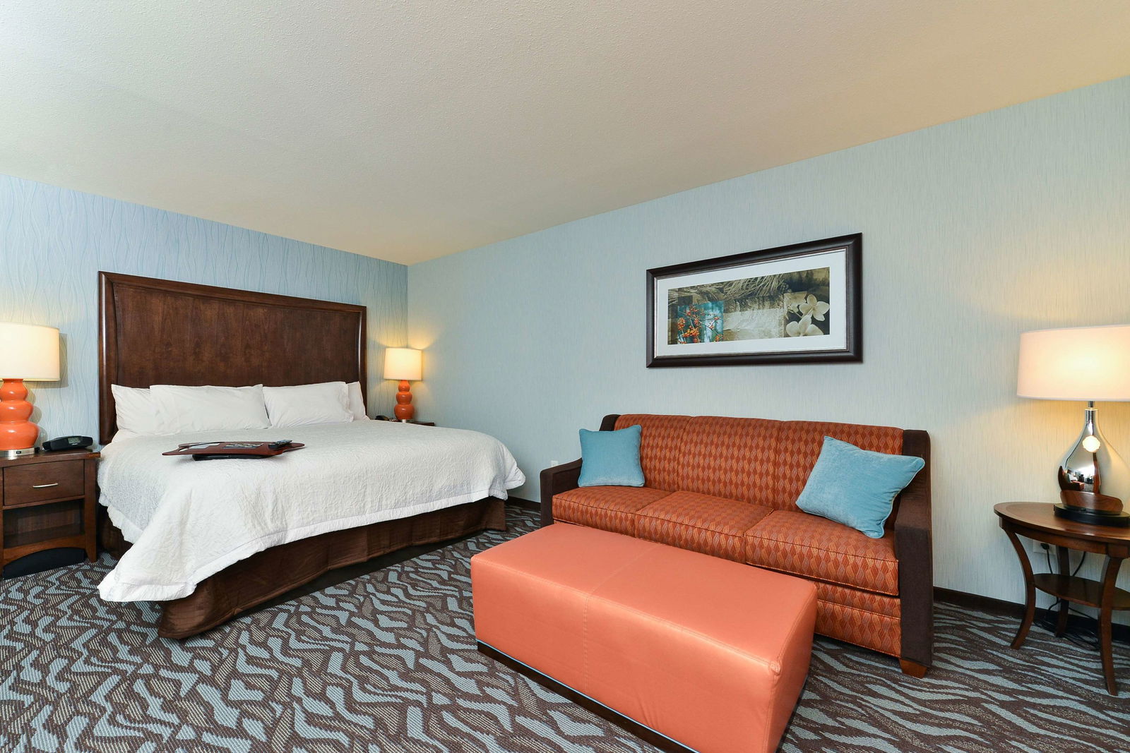 Hampton Inn Corning/Painted Post Room Example