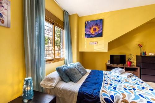 Hotel Apartamento Estudio
