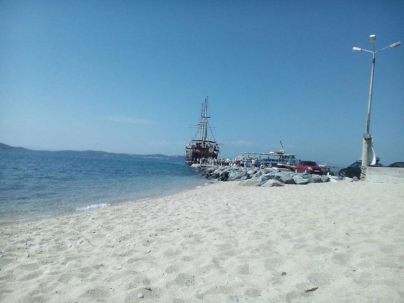 Pansion Athos