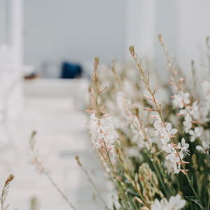 Sejur Aether Boutique Stay vacanta Mykonos