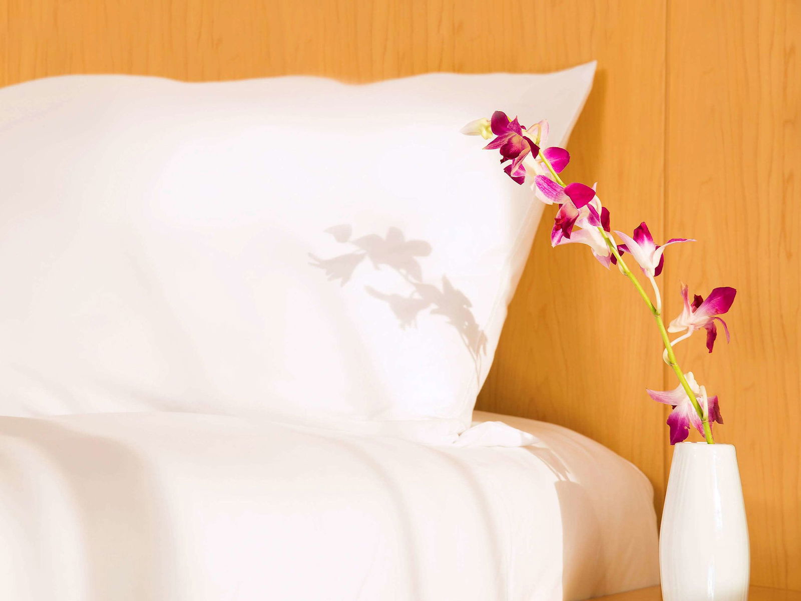ibis One Central Room Example