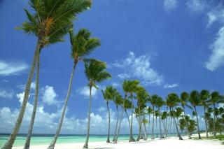 2507969-sports-illustrated-resorts-marina-and-villas-cap-cana.jpg