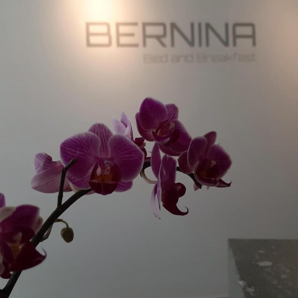 Hotel Bernina Bed And Breakfast
