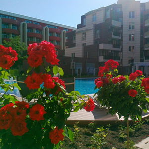 Hotel Admiral Plaza cazare Sunny Beach