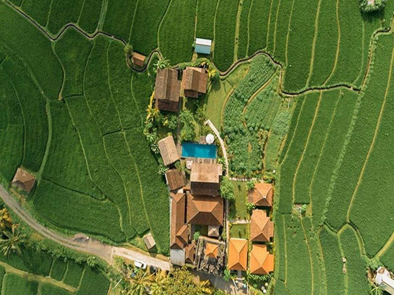 Kubu Sakian