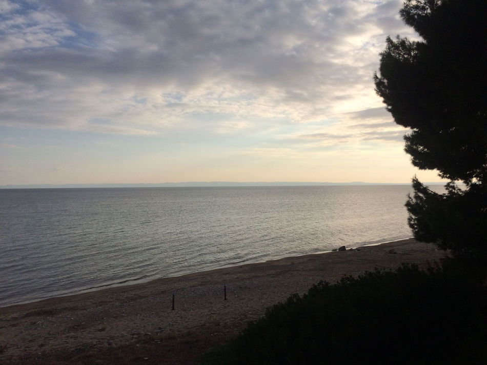 2335714-sithonia-lodge-chalkidiki.jpg