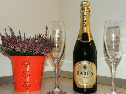 Hotel Apartament Confort Timisoara
