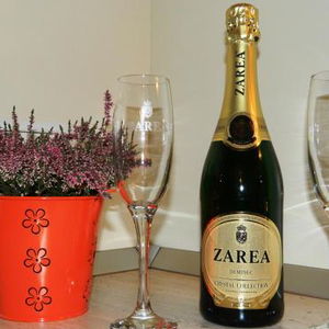 Hotel Apartament Confort Timisoara cazare Timisoara
