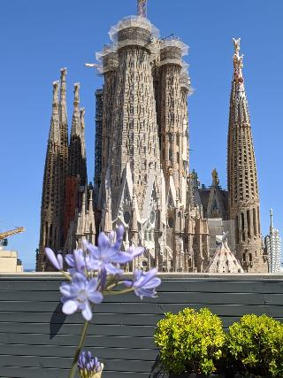 2583250-sensation-apartments-barcelona.jpg