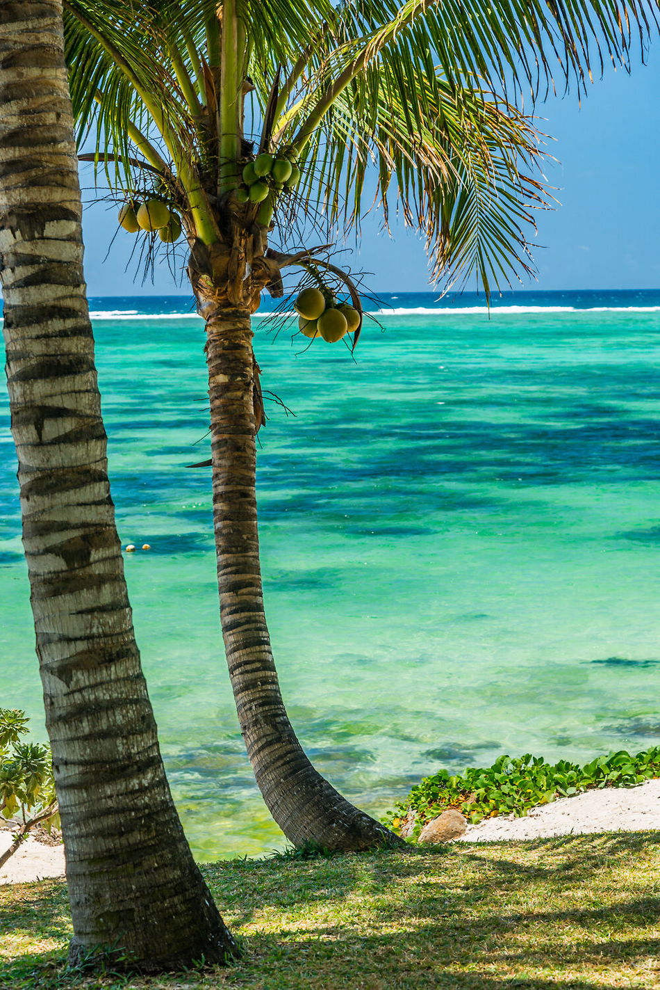 Seasense Boutique Hotel & Spa Beach